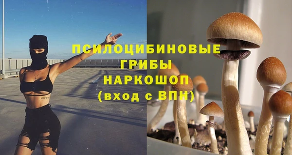 мескалин Богородицк