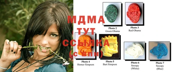 МДПВ Богородск